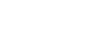 Plena Wealth Advisors Logo