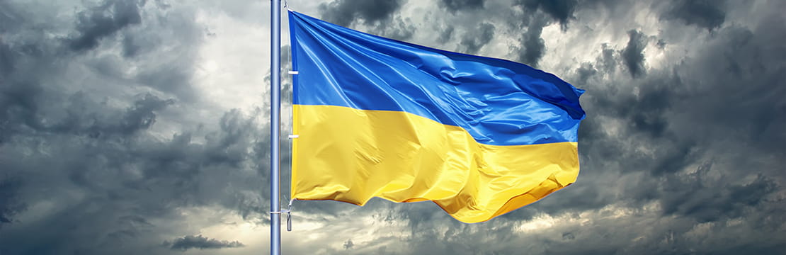 Ukraine Humanitarian Crisis Appeal Results