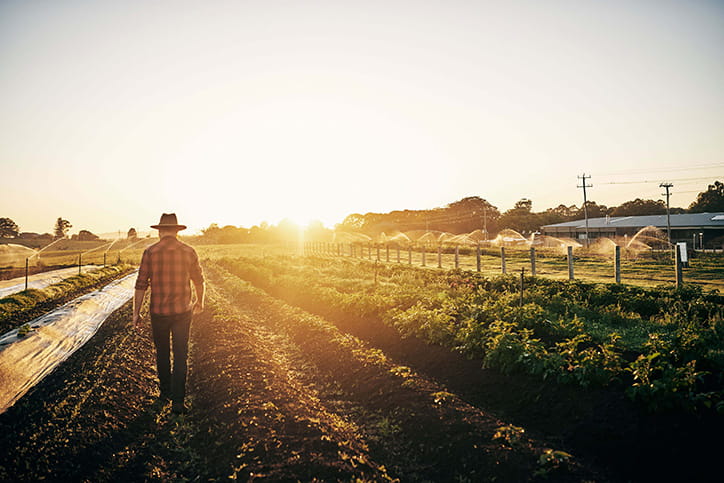 farmer walking in crops