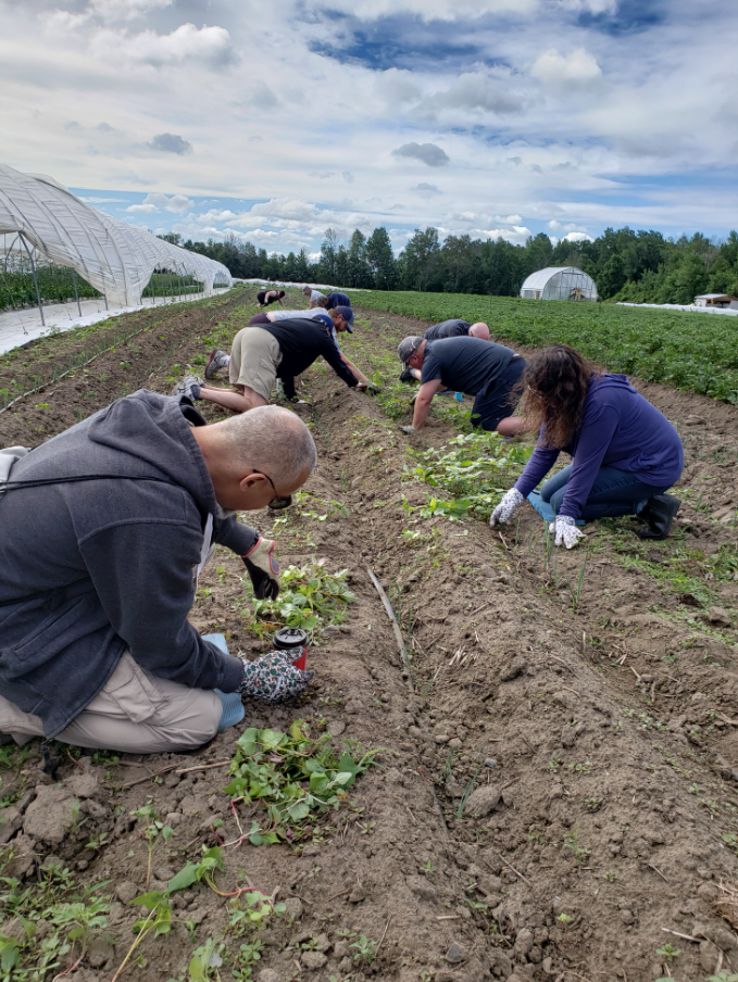Working on the farm