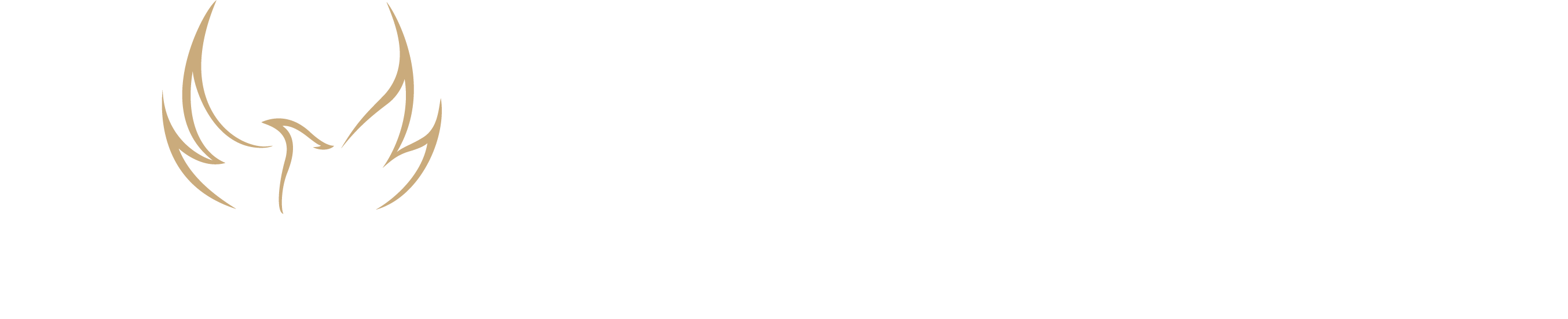 Serena Cheng Wealth Management logo