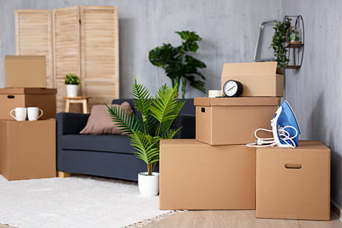 Downsizing Seminar