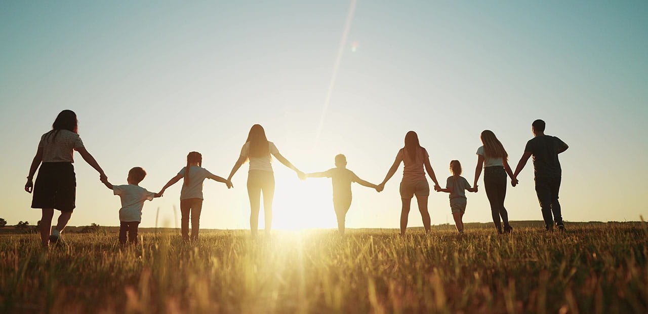 silhouette of large family holding hands in a park