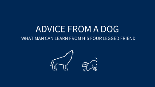 Advice From A Dog
