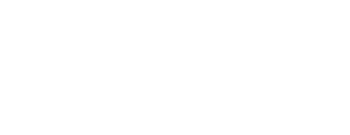 The Delfino Group logo